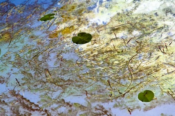 N 046A